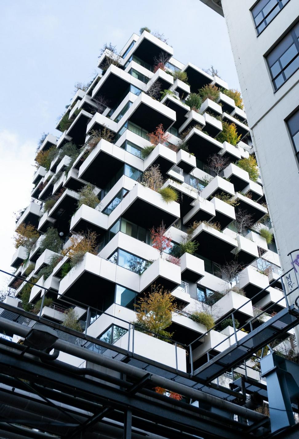 Verdant Heights